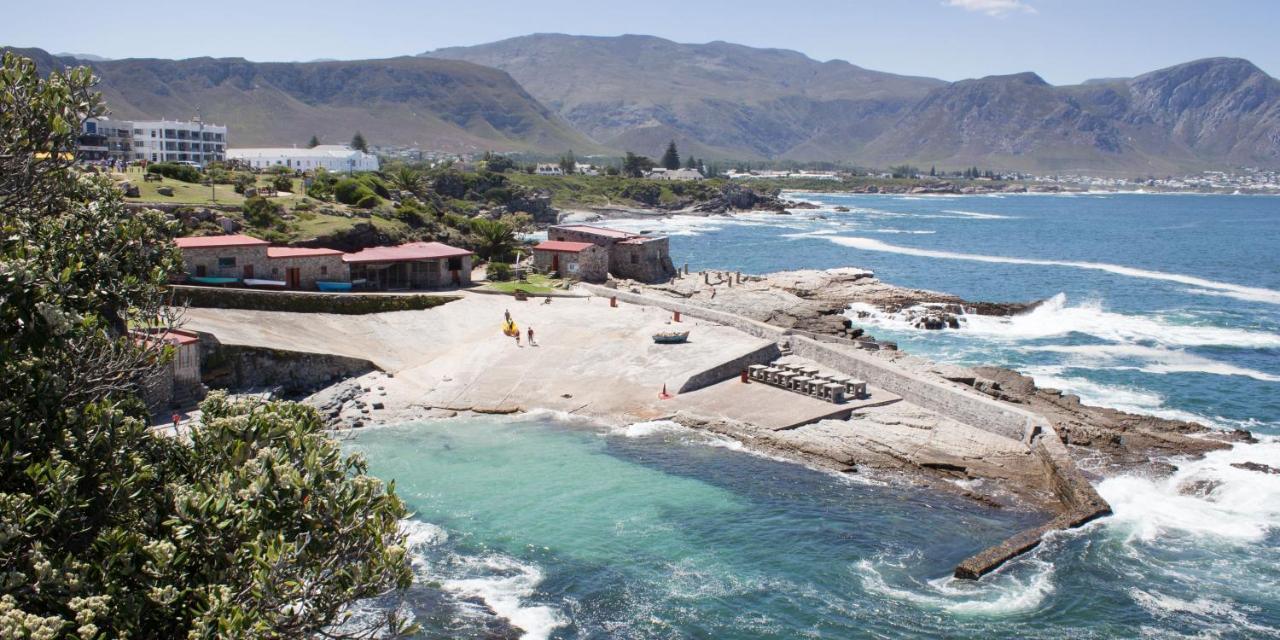 Zzzone Boutique Hostel Hermanus Ngoại thất bức ảnh